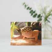 Leopard Gecko Postcard Postkarte (Stehend Vorderseite)