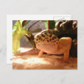 Leopard Gecko Postcard Postkarte (Vorne/Hinten)