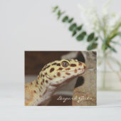 Leopard Gecko Postcard Postkarte (Stehend Vorderseite)