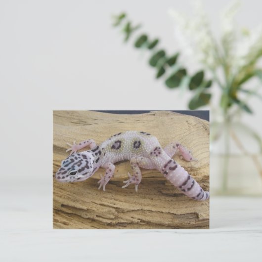 Leopard Gecko Postcard Postkarte (Stehend Vorderseite)