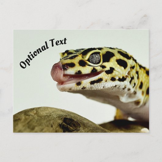 Leopard Gecko Postkarte (Vorderseite)