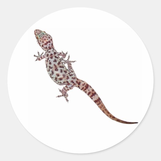 Leopard Gecko Runder Aufkleber (Vorderseite)