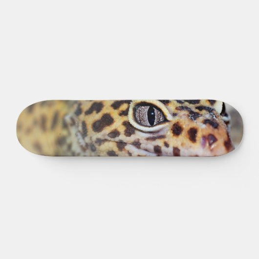Leopard Gecko Skateboard (Horizontal)