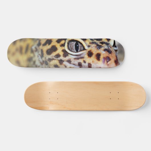 Leopard Gecko Skateboard (Horizontal)