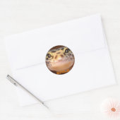 Leopard Gecko Smile Sticker (Umschlag)