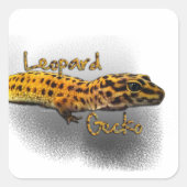 Leopard Gecko Sticker (Vorderseite)
