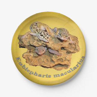Leopard Geckoentwurf für alle! Pappteller