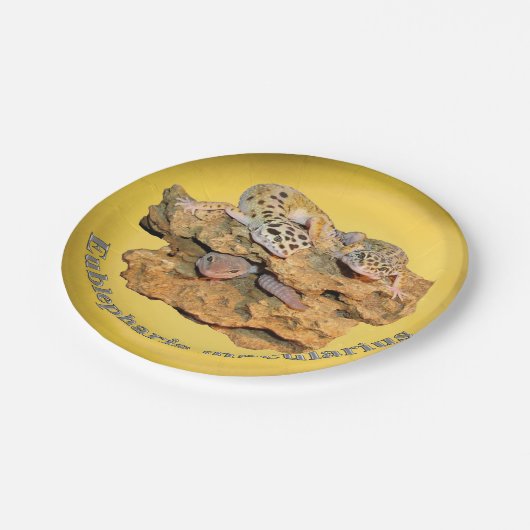 Leopard Geckoentwurf für alle! Pappteller (Schrägansicht)