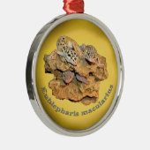 Leopard Geckoentwurf für alle! Silbernes Ornament (Rechts)