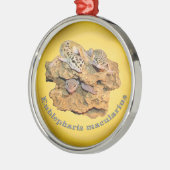 Leopard Geckoentwurf für alle! Silbernes Ornament (Links)