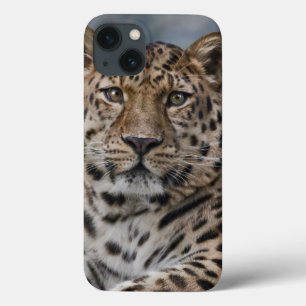 Leopard-Gedanken iPad Fall Case-Mate iPhone Hülle