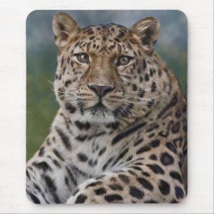 Leopard Gedanken-Mauspad Mousepad