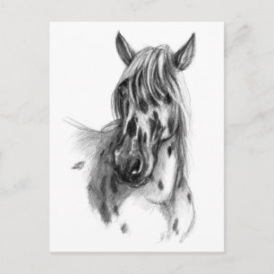 Leopard gepunktet Horse sk127 Postkarte