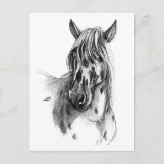 Leopard gepunktet Horse sk127 Postkarte