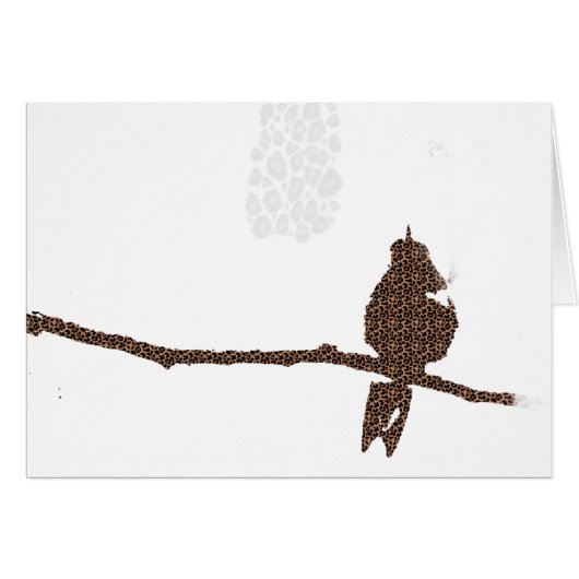 Leopard Gepunktet Hummingbird (Vorderseite (Horizontal))