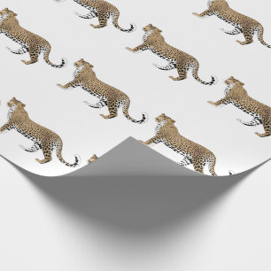Leopard Geschenkpapier