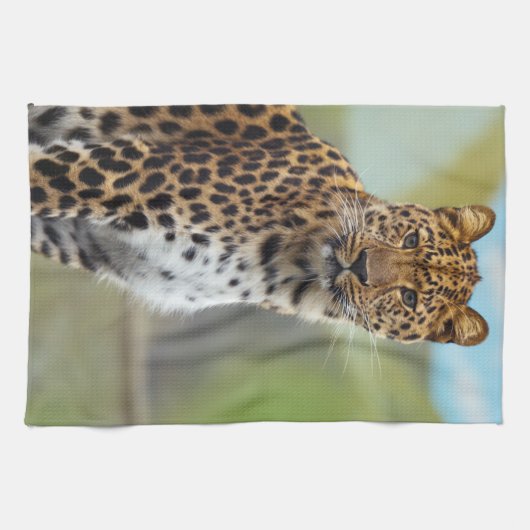 Leopard Geschirrtuch (Horizontal)