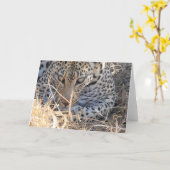 LEOPARD GESICHT NAHAUFNAHME KARTE (Gelbe Blume)