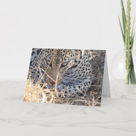 LEOPARD GESICHT NAHAUFNAHME KARTE (Vorderseite)