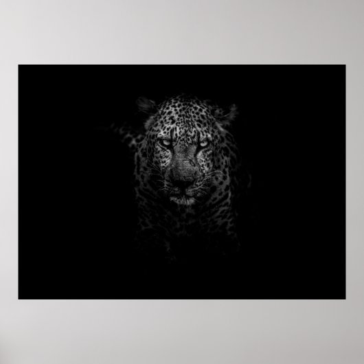 LEOPARD-GESICHT POSTER (Vorne)