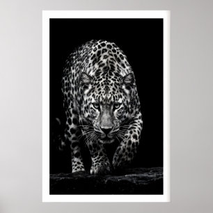 Leopard-Gesicht-Wandkunst Monochrome Wildtierdruck Poster