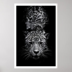 Leopard-Gesichter Druck Schwarz-Weiß-Wildtierkunst Poster
