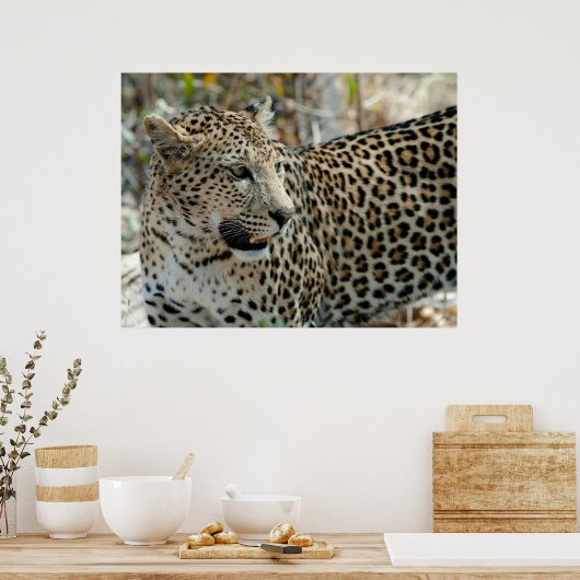 Leopard-Gesichtsseite Poster (Küche)