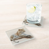 Leopard Glasuntersetzer (Schrägansicht)