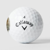 Leopard Golfball (Logo)