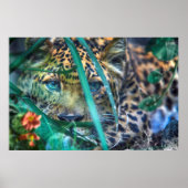 LEOPARD GREEN EYES GAZER POSTER (Vorne)