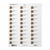 Leopard Head Portrait (Vorne)