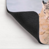 Leopard-Hubs auf log Mousepad (Ecke)
