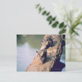 Leopard-Hubs auf log Postkarte (Stehend Vorderseite)