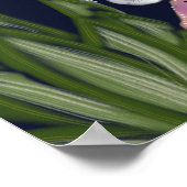 Leopard im Blumengarten Poster (Ecke)