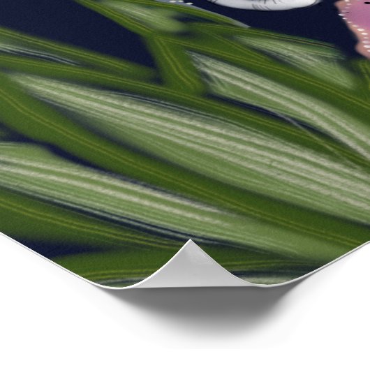 Leopard im Blumengarten Poster (Ecke)