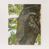 Leopard im Foto Baumnatur Puzzle (Vertikal)