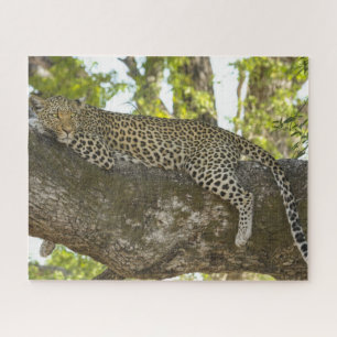 Leopard im Foto Baumnatur Puzzle