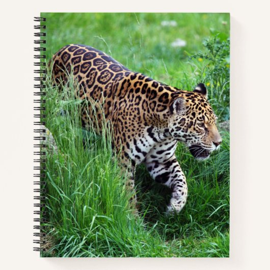 Leopard im Grasgürtel Notizblock (Vorderseite)