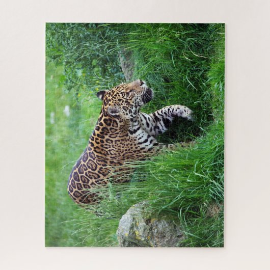 Leopard im Graspuzzle Puzzle (Vertikal)