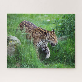 Leopard im Graspuzzle Puzzle