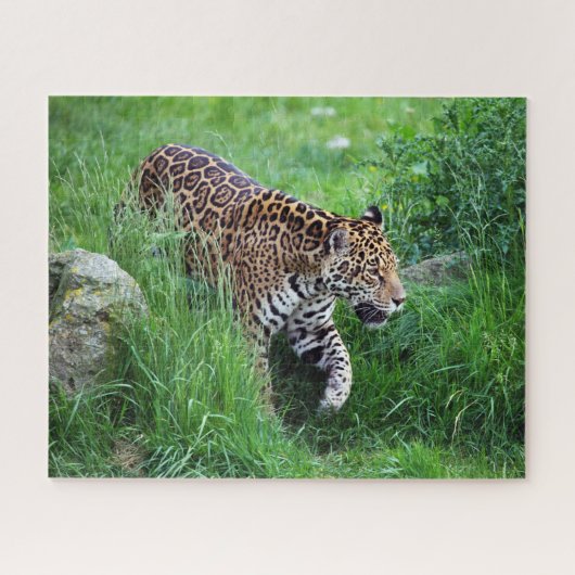Leopard im Graspuzzle Puzzle (Horizontal)