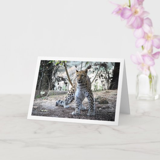 Leopard im Wald Karte (Orchidee)