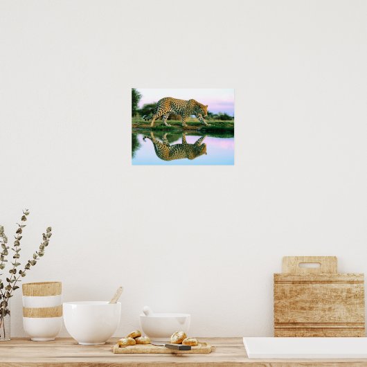Leopard im Wasser Poster (Küche)