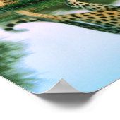 Leopard im Wasser Poster (Ecke)