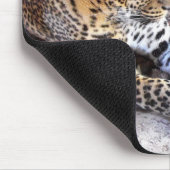 Leopard in der Erholung Mousepad (Ecke)