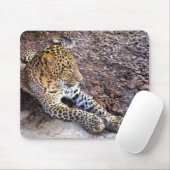 Leopard in der Erholung Mousepad (Mit Mouse)