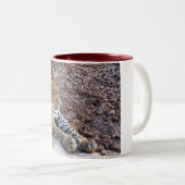 Leopard in der Erholung Zweifarbige Tasse (VorderseiteRechts)