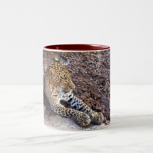 Leopard in der Erholung Zweifarbige Tasse (Mittel)