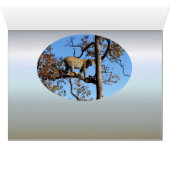 Leopard in einem Baum in Afrika (Innenansicht Horizontal (Unten))