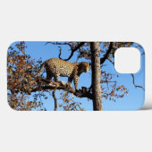 Leopard in einem Baum in Afrika Case-Mate iPhone Hülle (Rückseite (Horizontal))